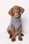 CABLE DOG SWEATER