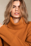 JANINE TURTLENECK CASHMERE SWEATER